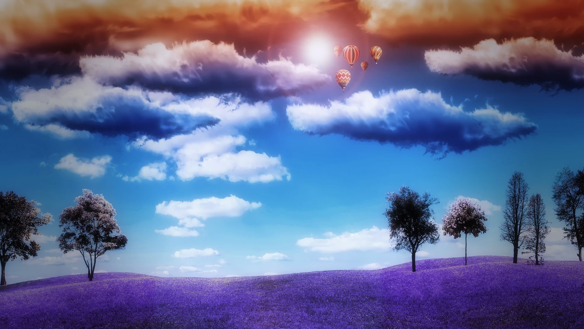 小清新,唯美,薰衣草,风景,植物,等待爱情,紫色