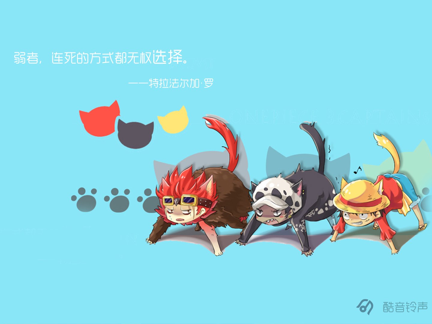 海贼王,励志,奋斗,正能量,文字,文字控