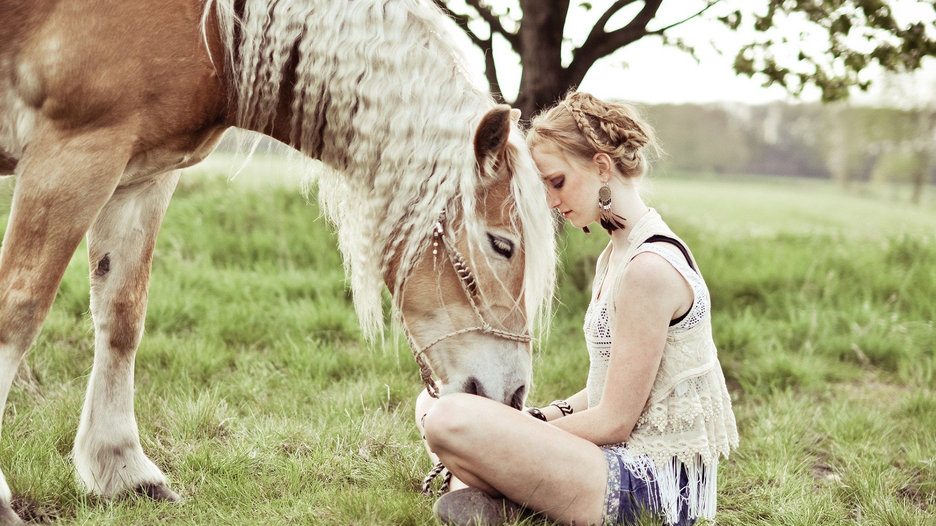 美女,清新,欧美