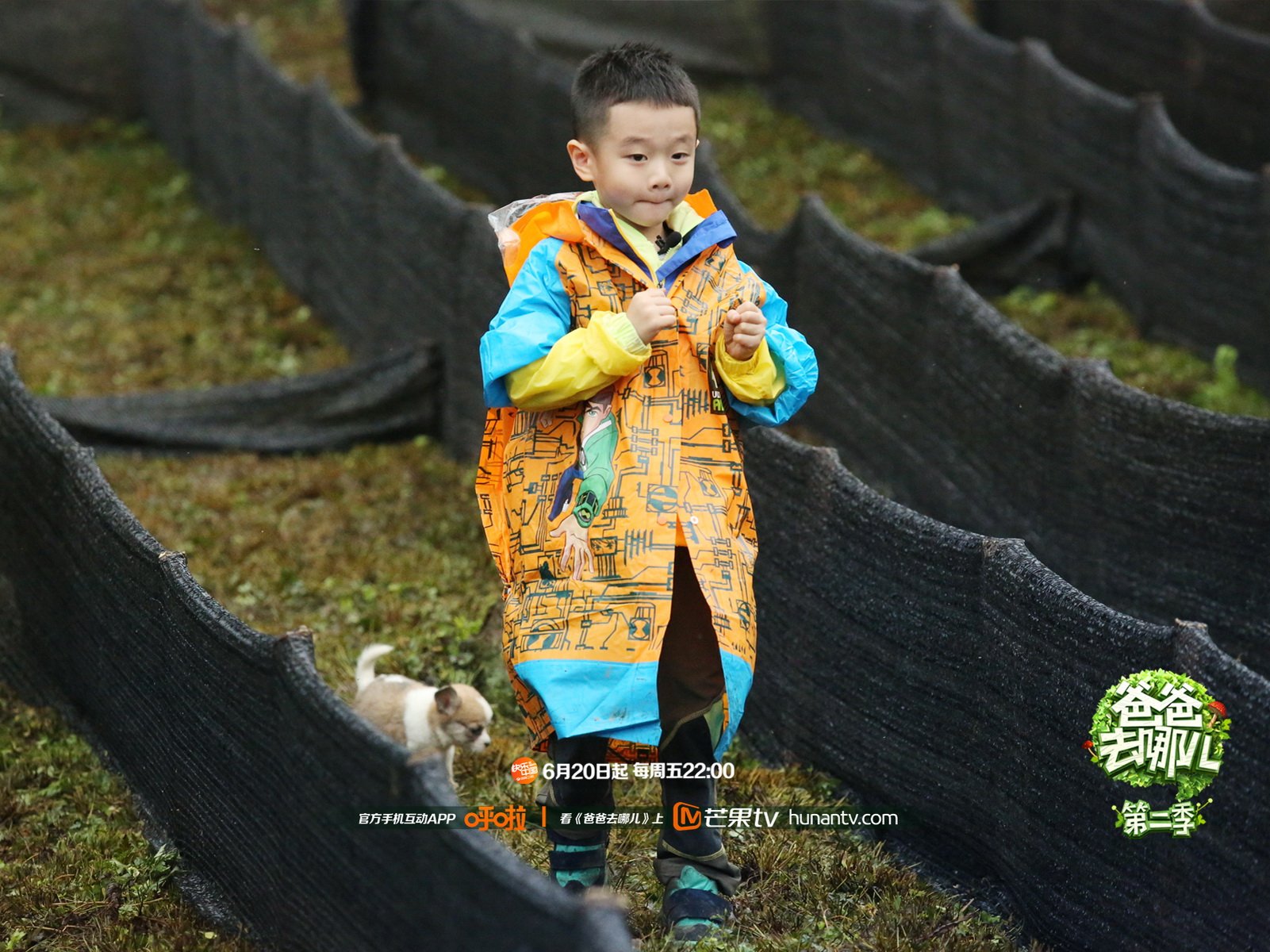 爸爸去哪儿2,杨阳洋