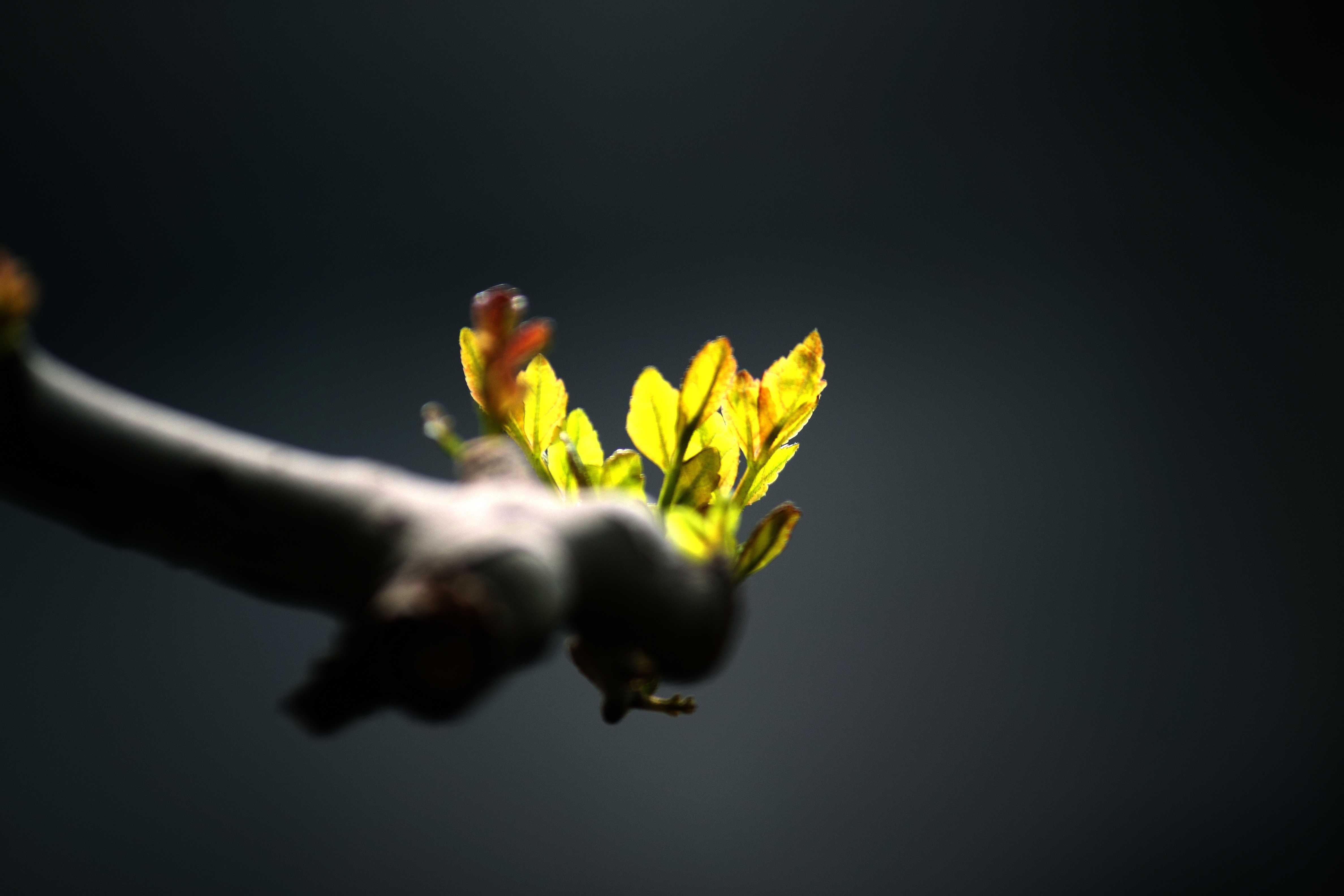 小清新,唯美,温馨,安静