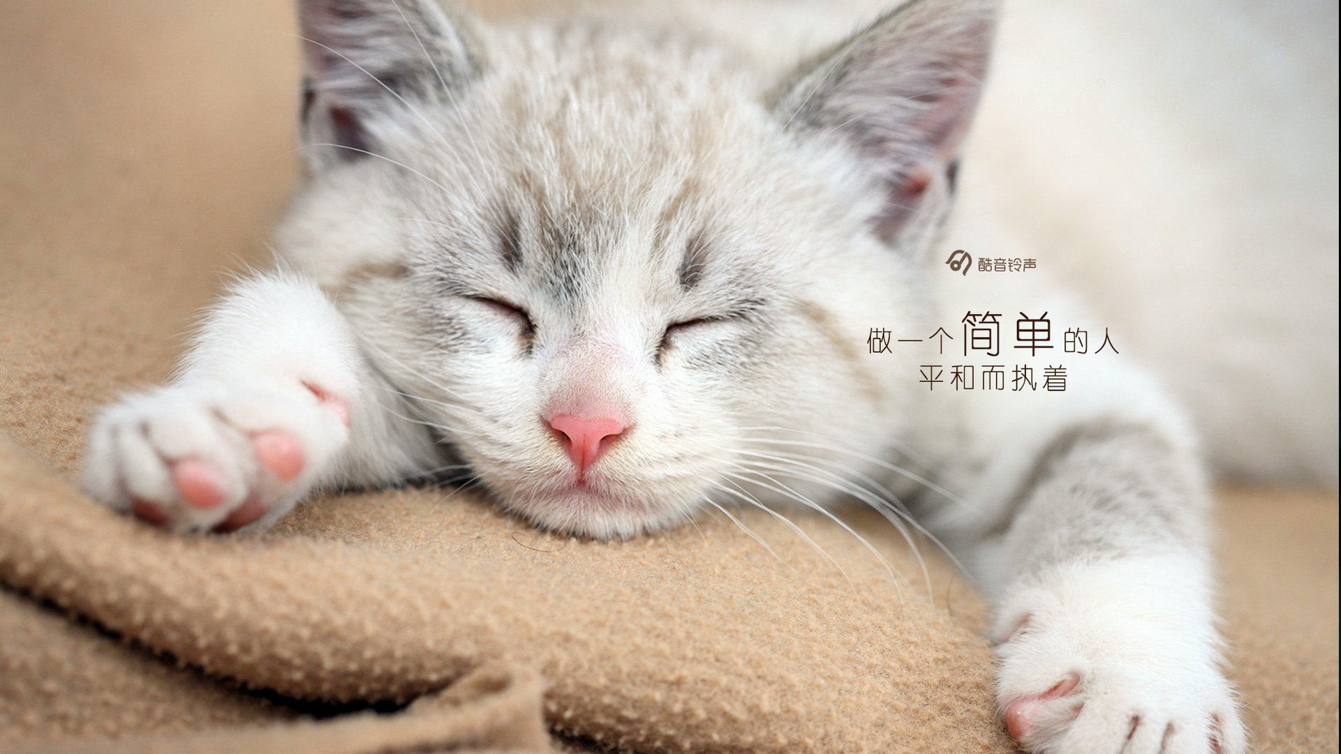 早安,@酷音铃声,文字,温馨,正能量,温暖