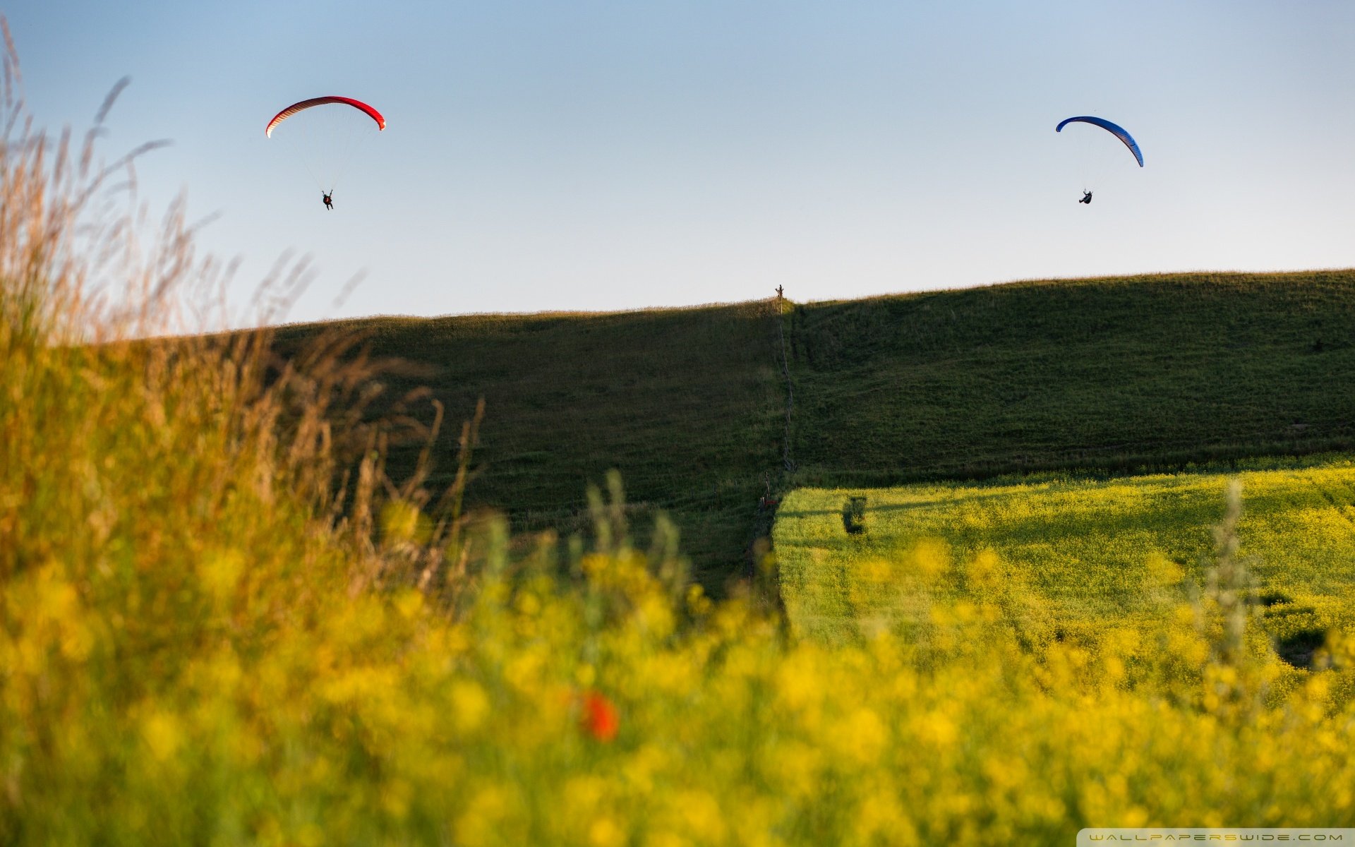 风景,自然风光,意境田野