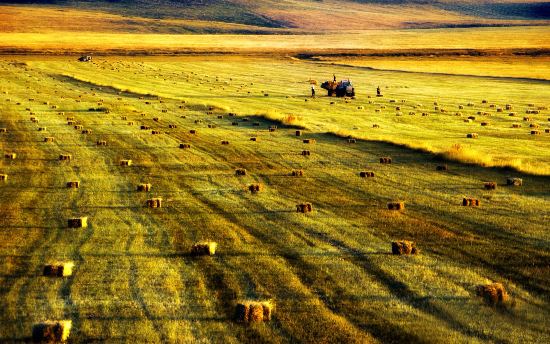 风景,公路,路,远方