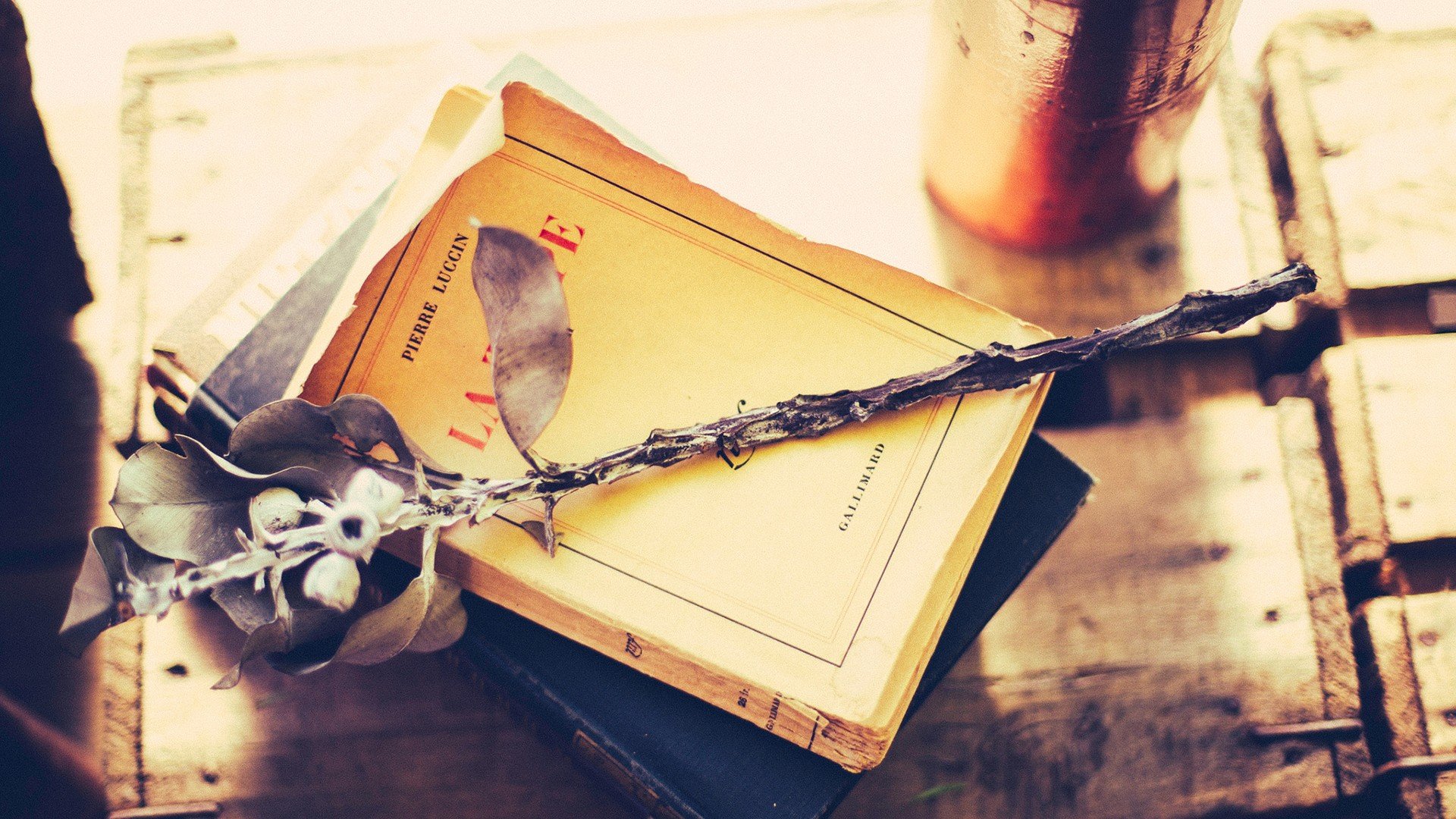 小清新,唯美,静物写真,温馨,物语,回忆,花