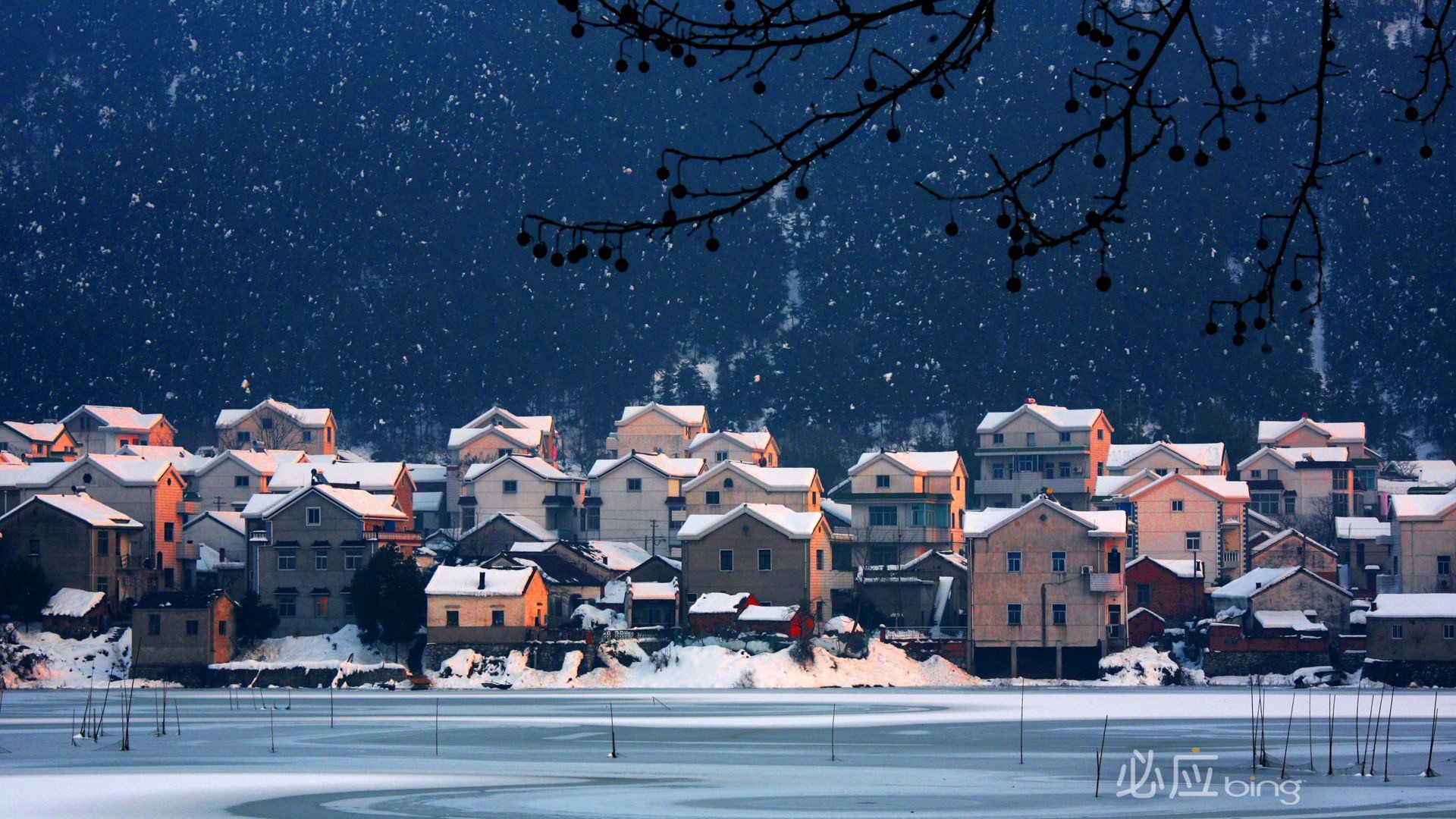 风景,自然风光,小镇,田园,房子,唯美,春意盎然,炎炎夏日