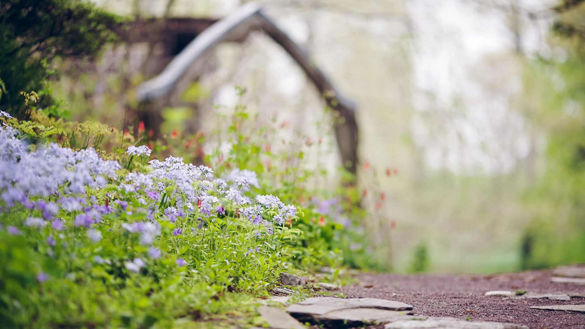 风景,自然风光,小镇,田园,房子,唯美,春意盎然,炎炎夏日