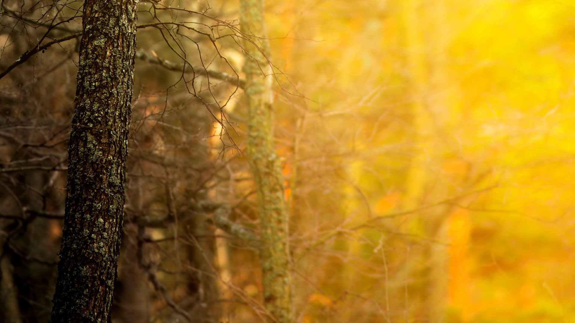 风景,自然风光,黄昏,夕阳,傍晚,落日,唯美,意境,落日余晖