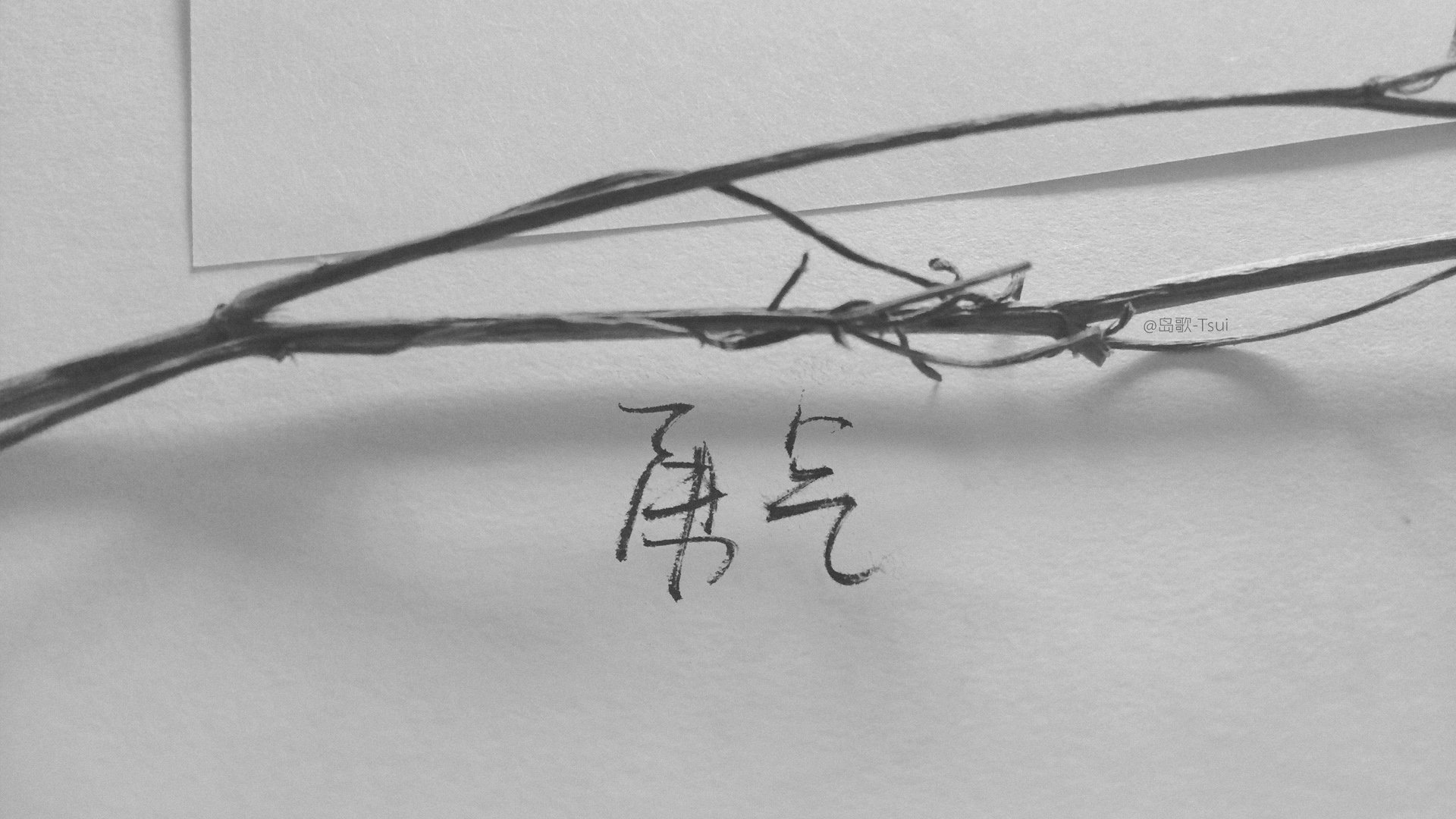 岛歌,手写,文字,伤感,文字控