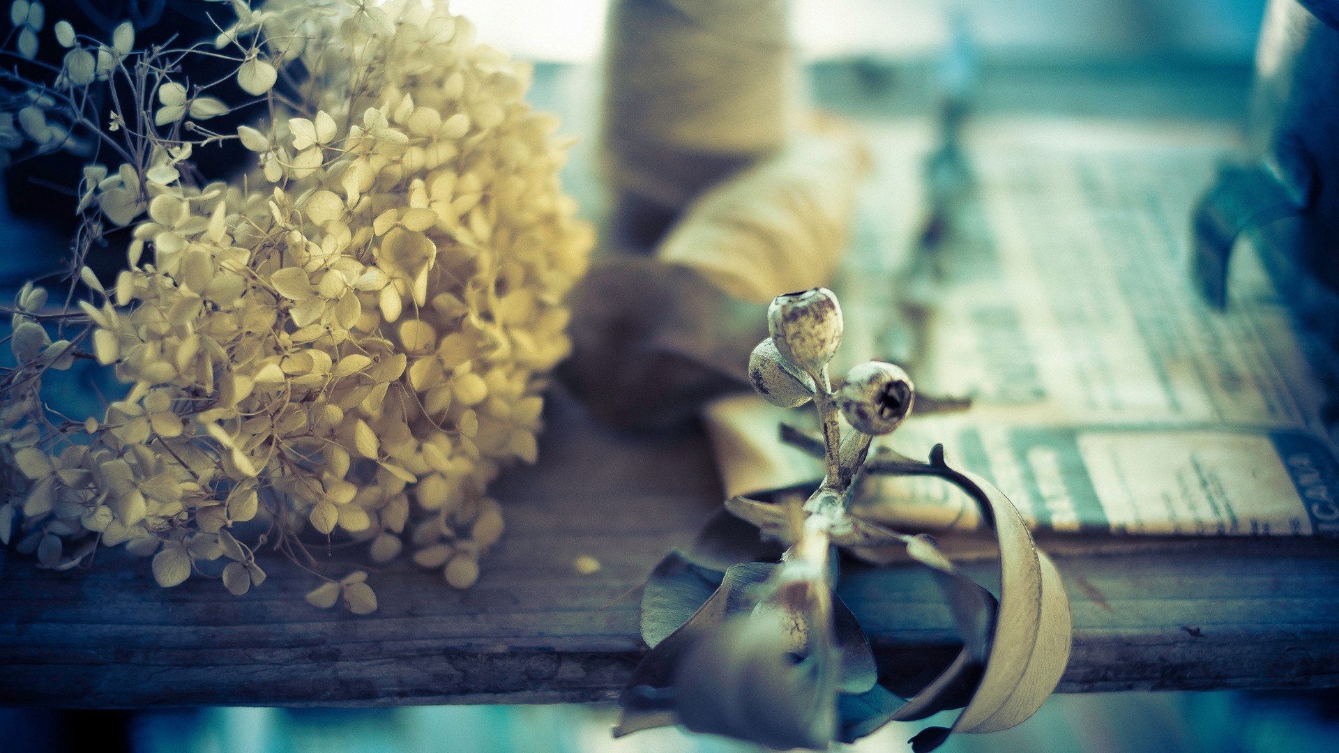 小清新,唯美,静物写真,温馨,物语,回忆,熊