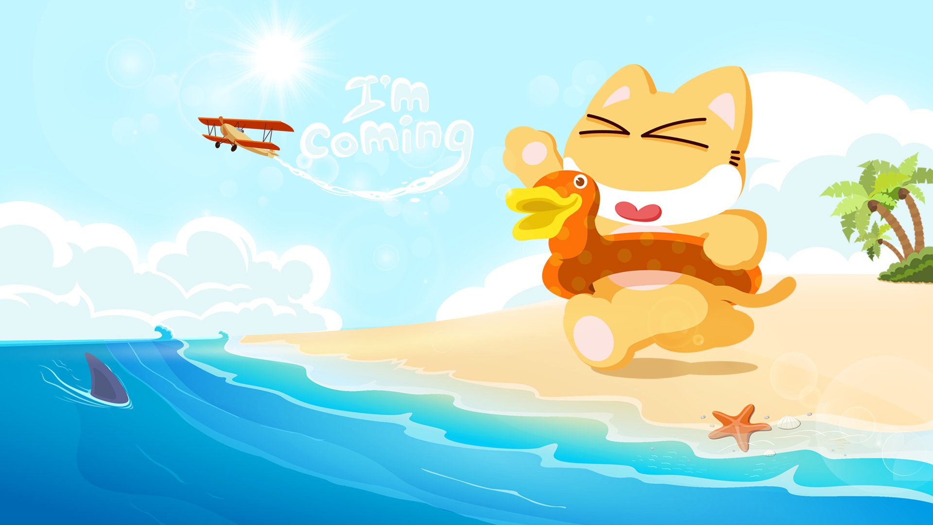 皮揣子猫,夏天,海边,清凉