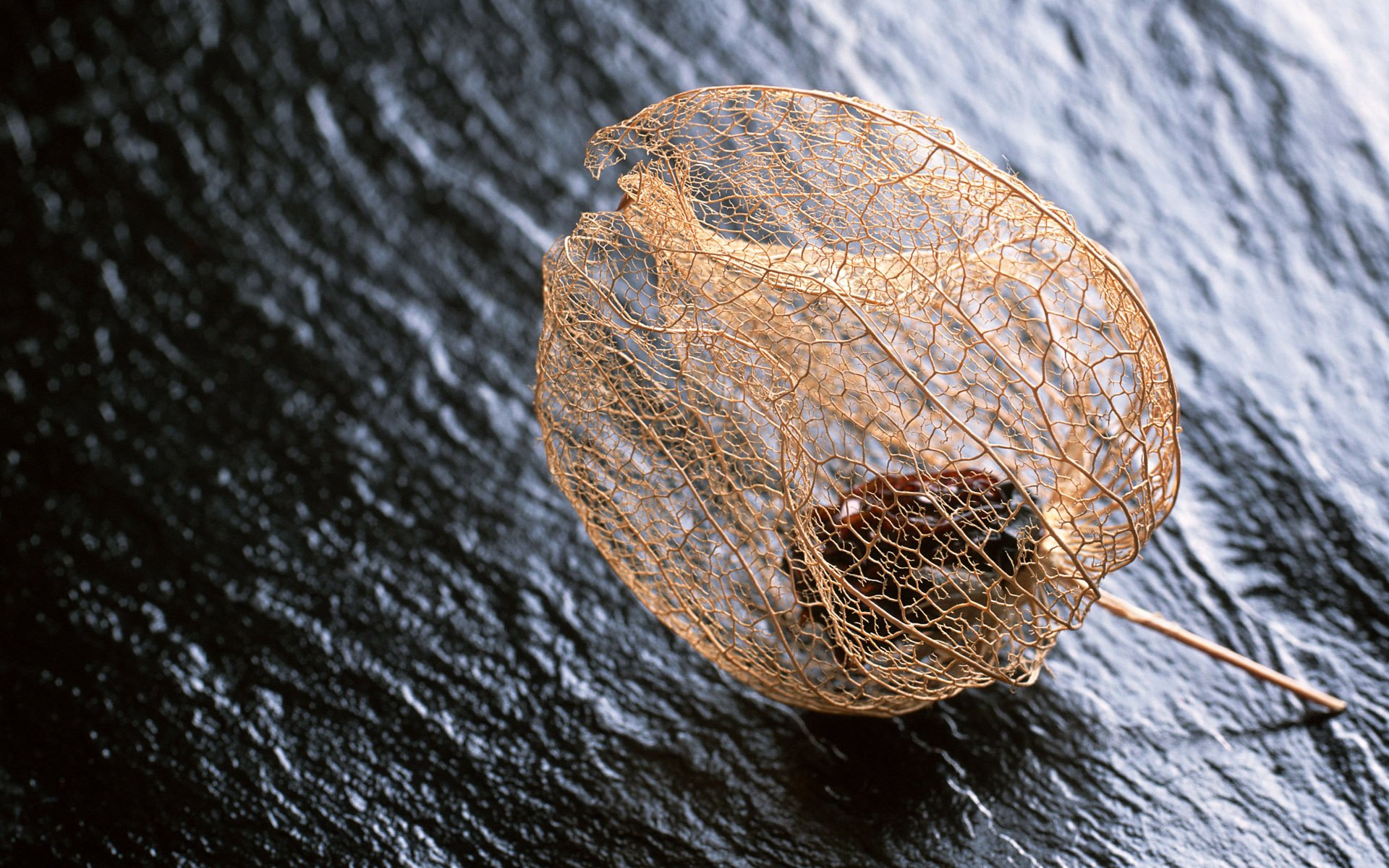 炫酷,另类,个性,简约