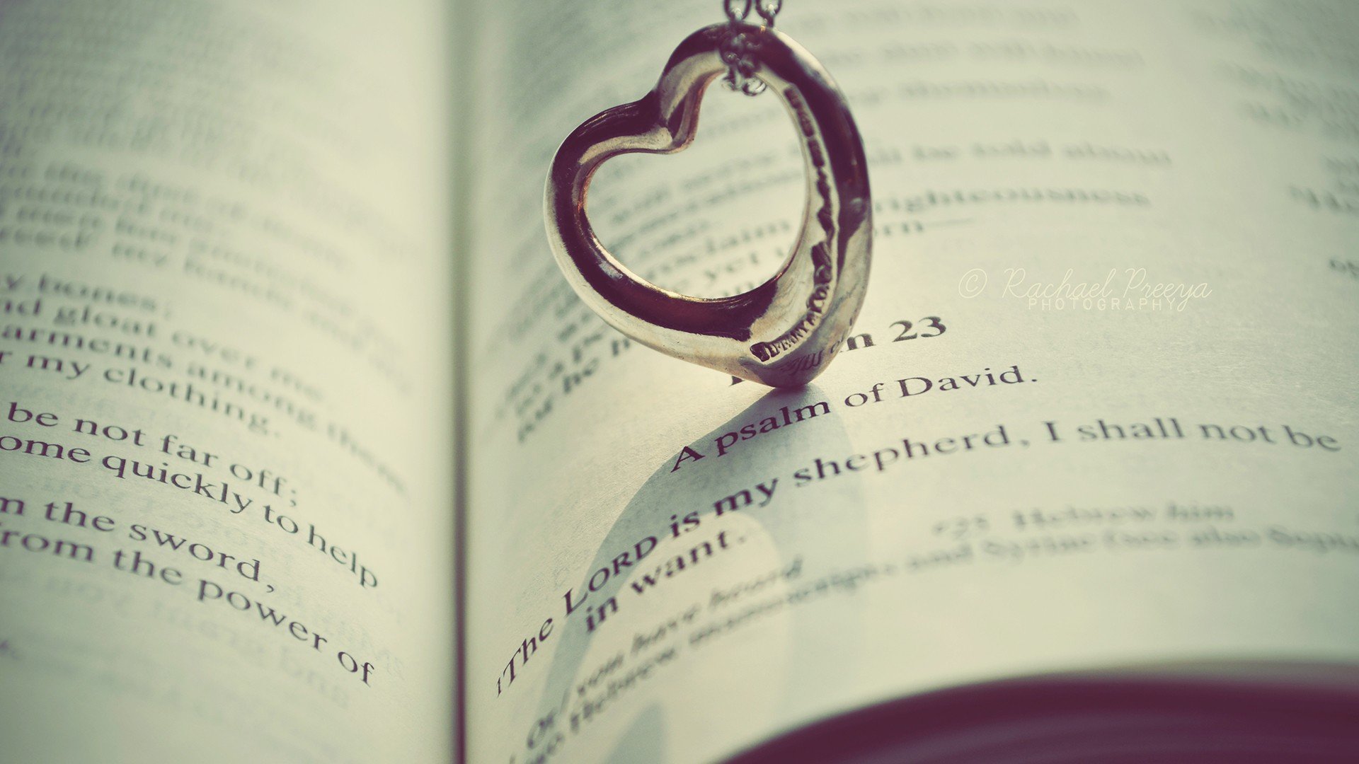 浪漫,爱情,温暖,心,唯美,温馨,love