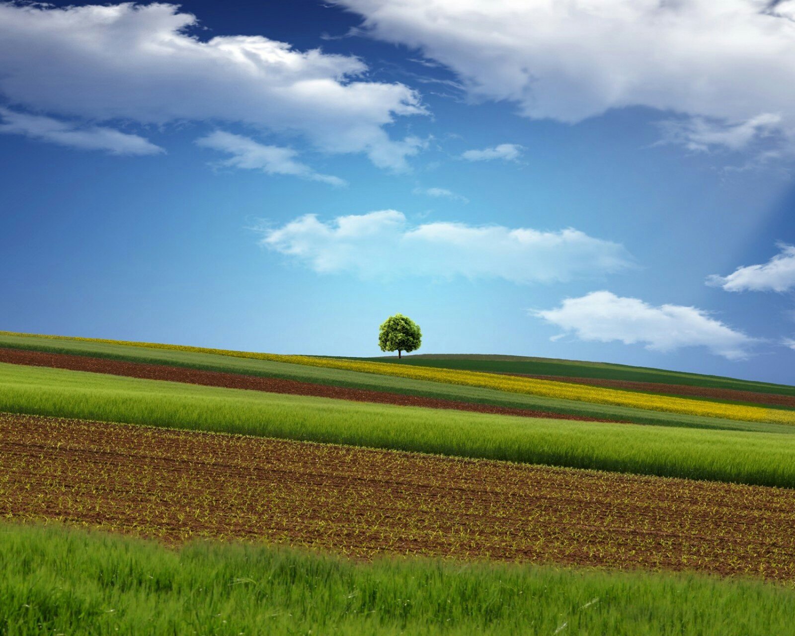 风景,风光,旅行,唯美,意境