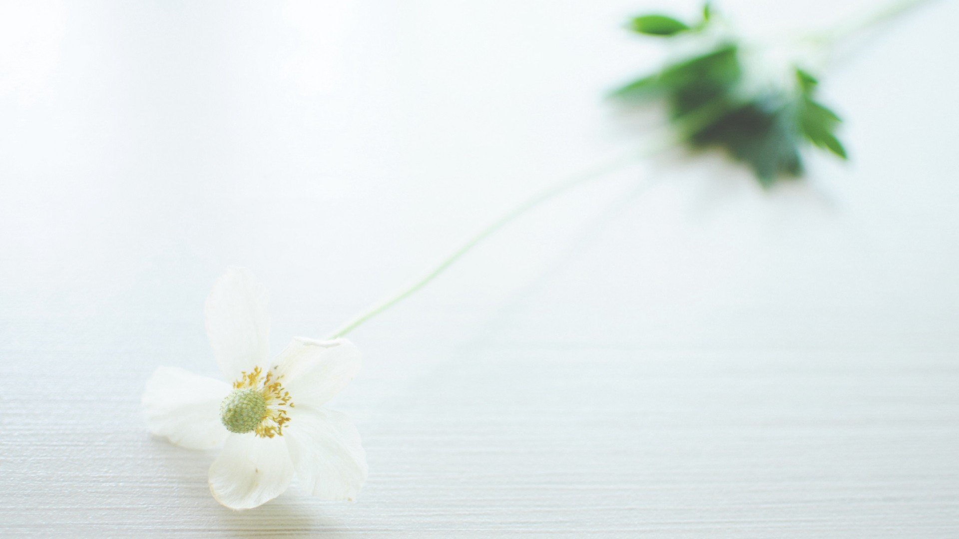 小清新,温暖,干净,安静,唯美,静物,物语,时光