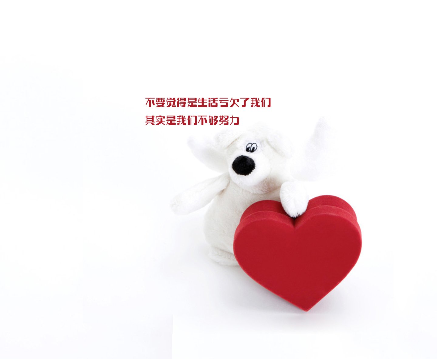 文字,文字控,语录,熊,心