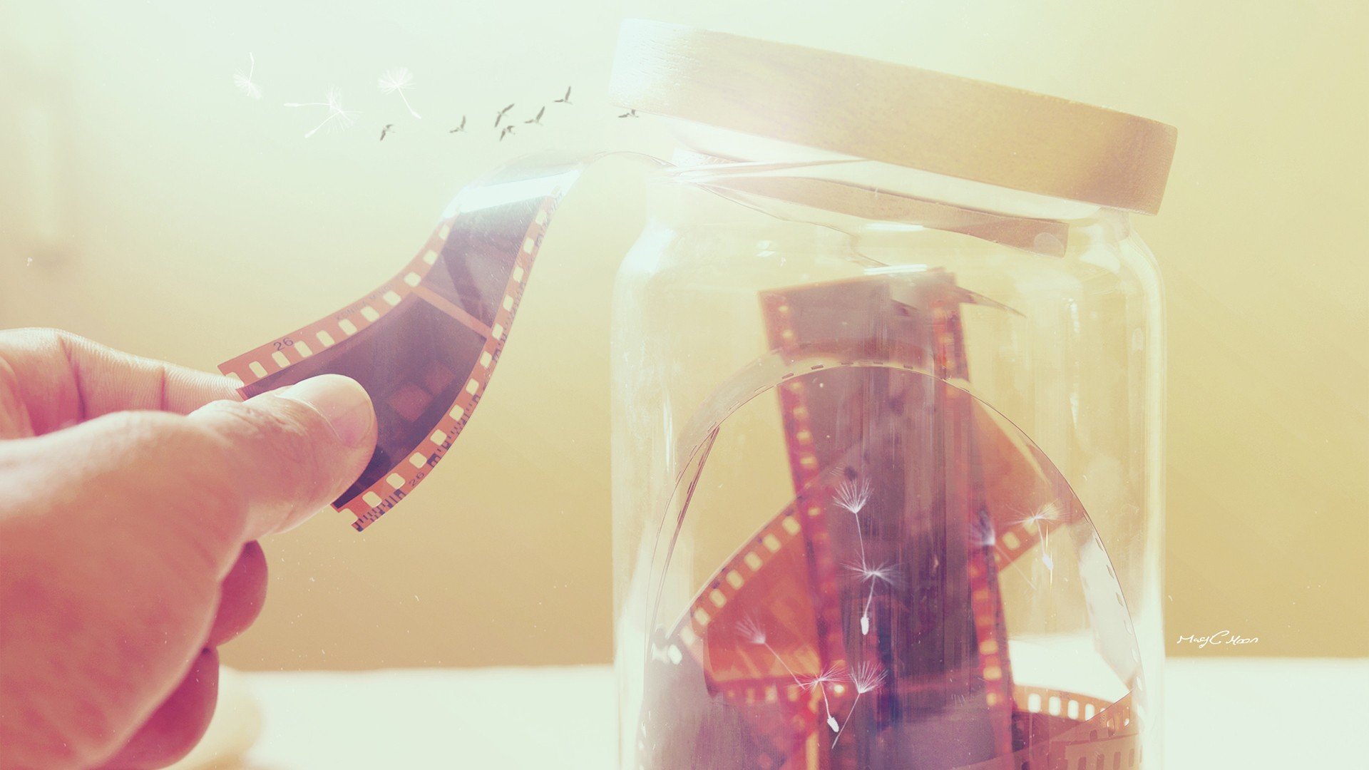 小清新,唯美,静物写真,温馨,物语,回忆,小世界