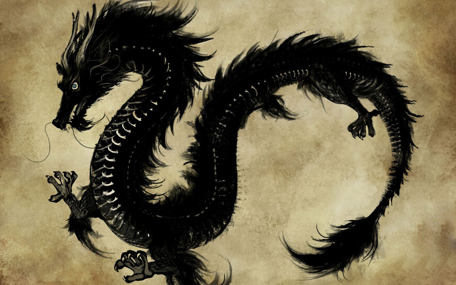 视觉创意,炫酷,特效,效果,设计