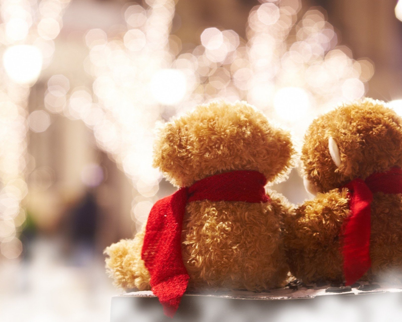 小清新,温暖,干净,安静,温馨,唯美,静物,物语,熊,陪伴