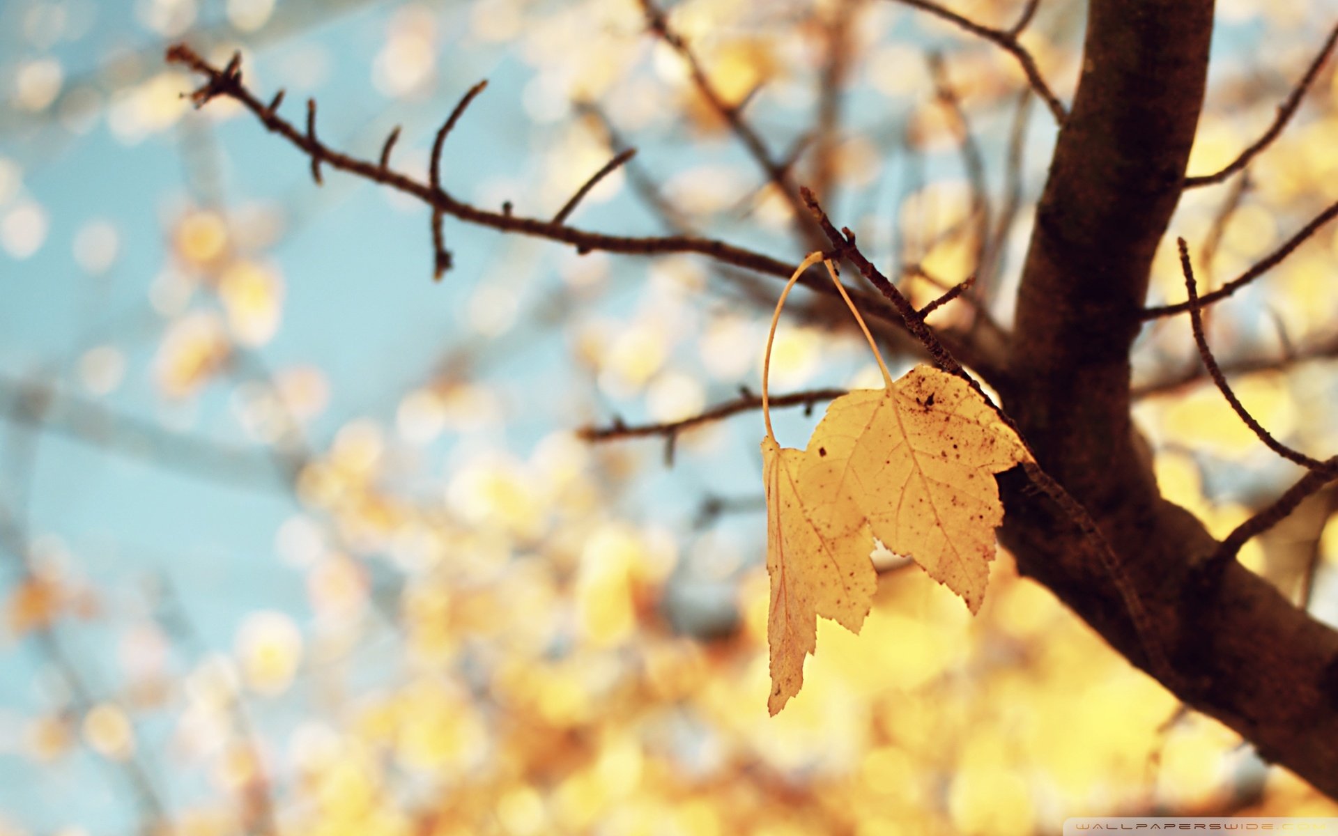 风景,风光,旅行,唯美,意境