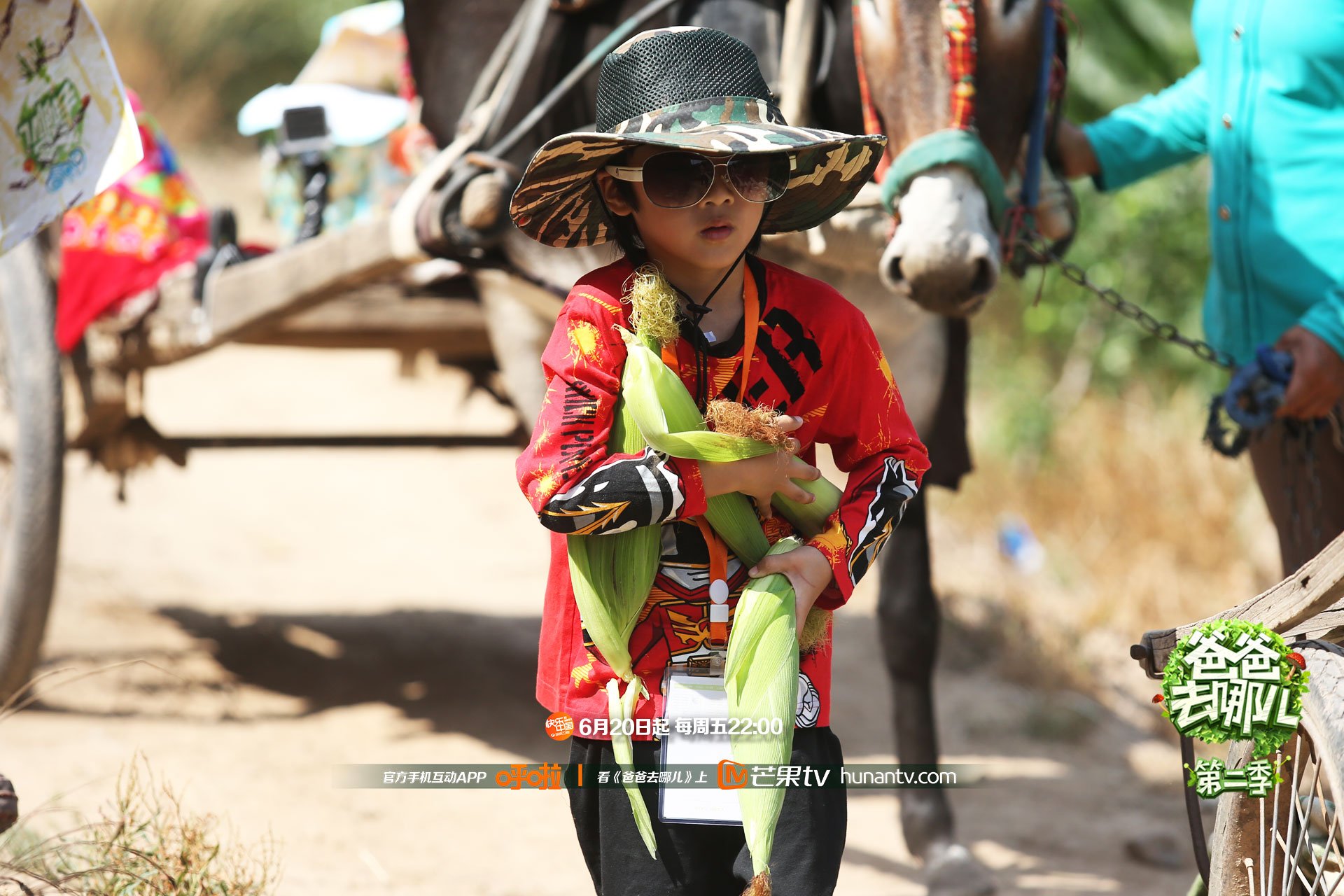 爸爸去哪儿2,湖南卫视,芒果TV