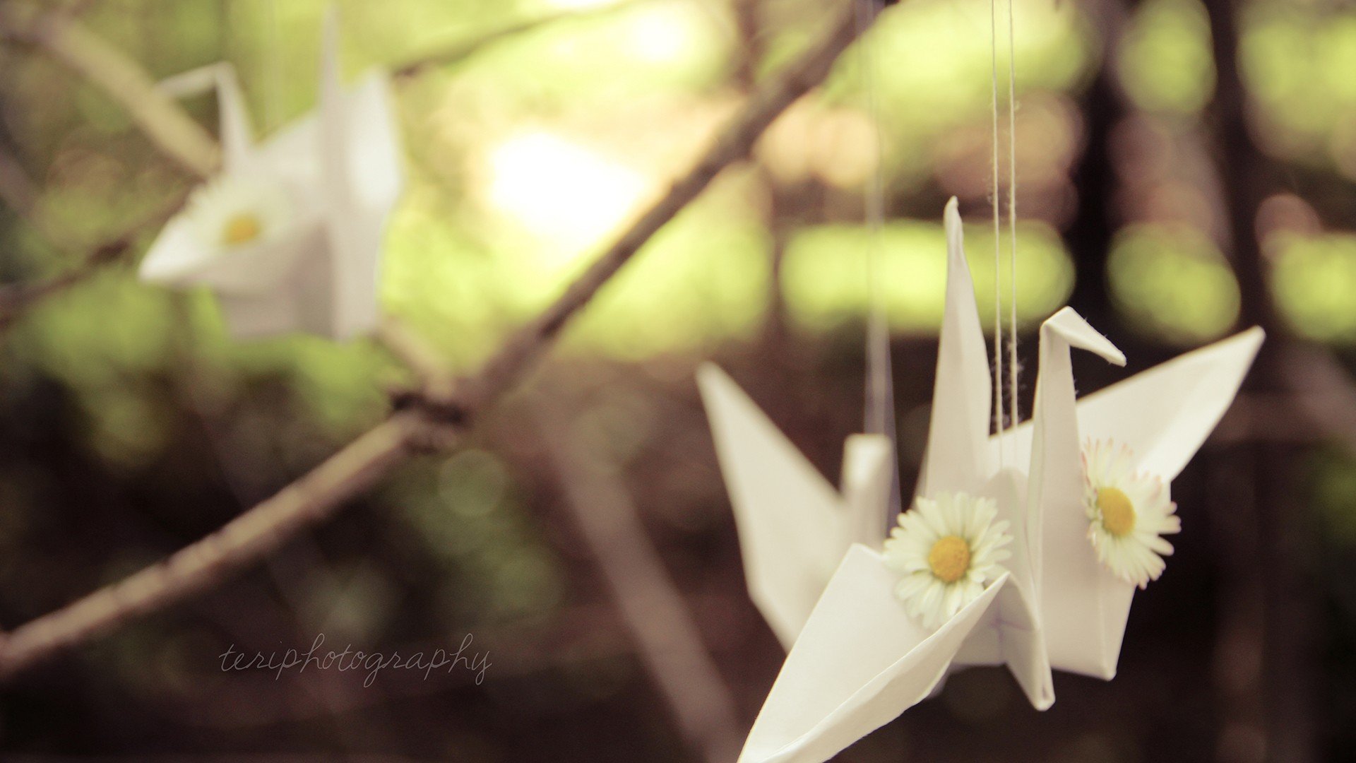 小清新,唯美,折纸,愿望,心愿,千纸鹤