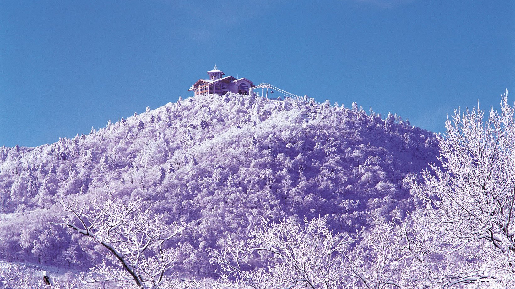 风景,自然风光,大自然