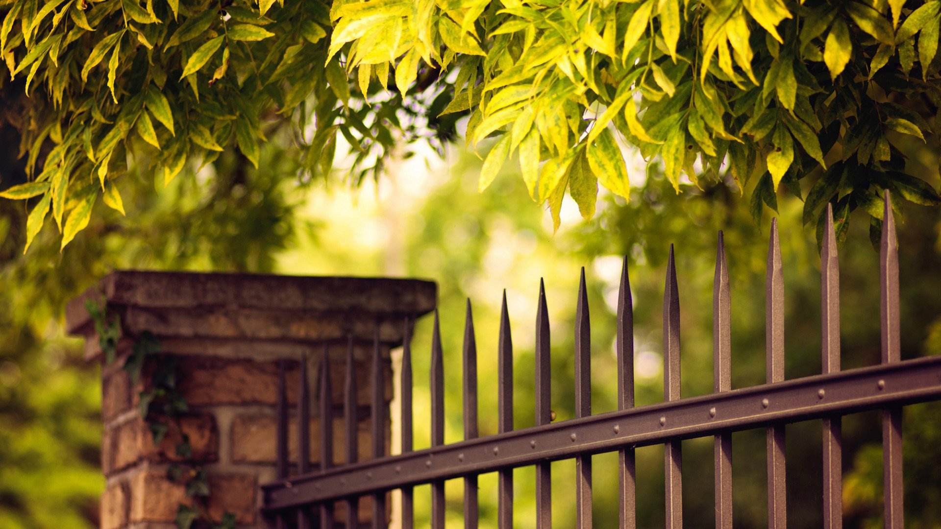 小清新,唯美,温馨,安静,风景