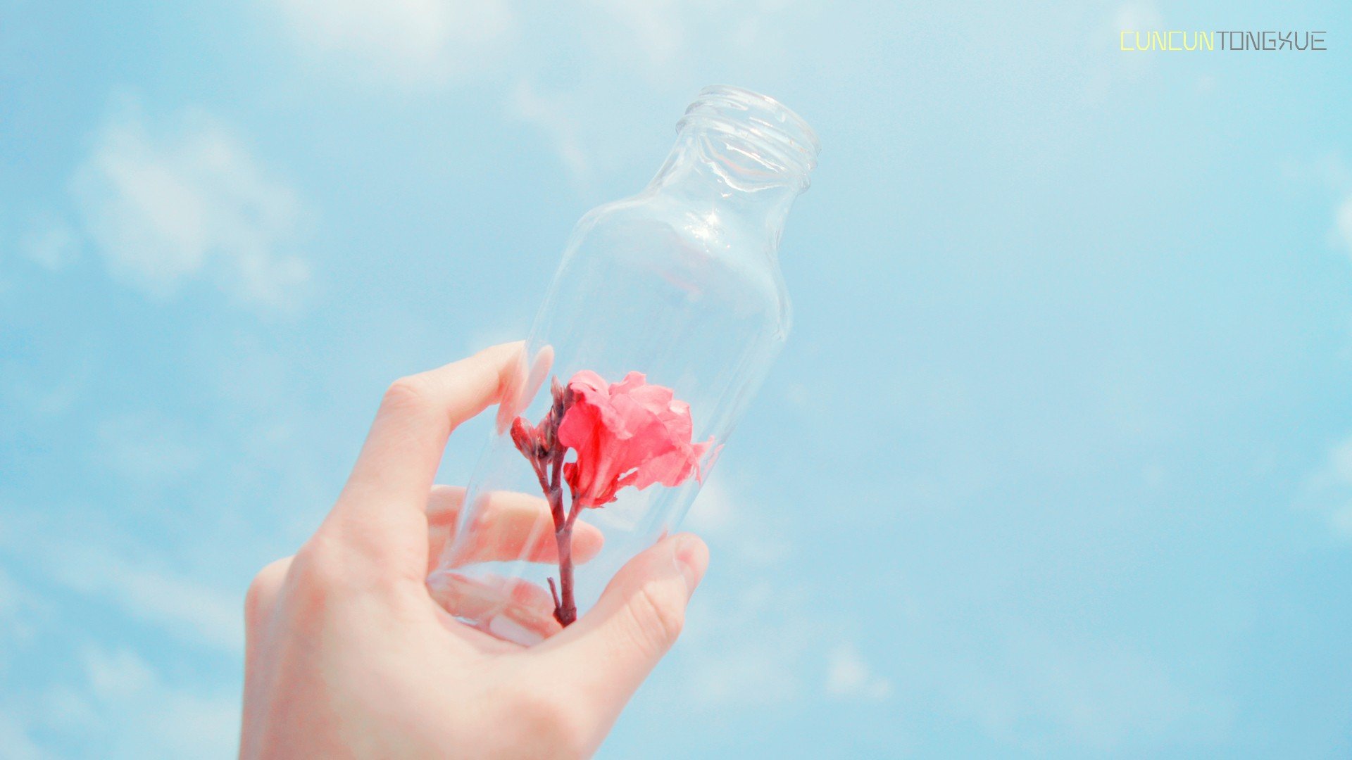 小清新,温暖,干净,安静,温馨,唯美,静物,物语,手,天空