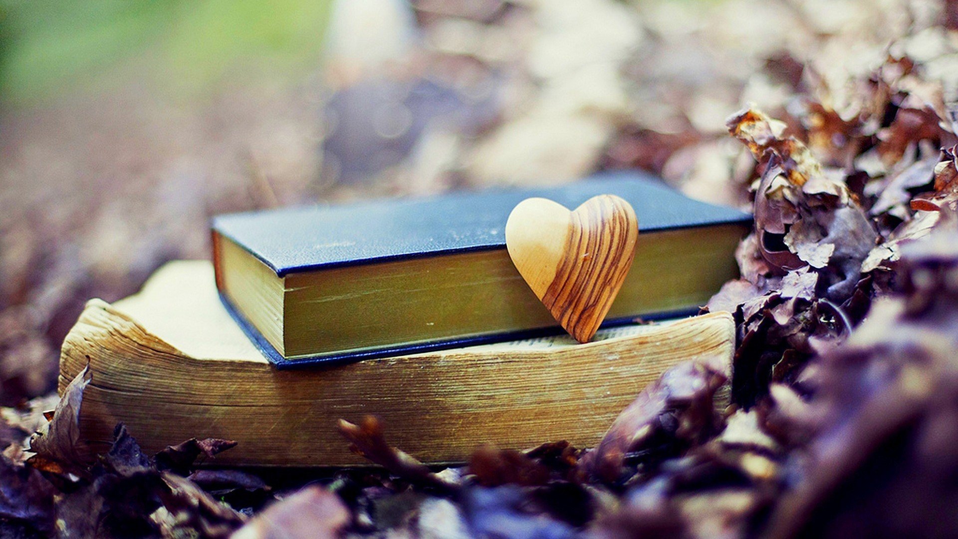 浪漫,爱情,温暖,心,唯美,温馨,love