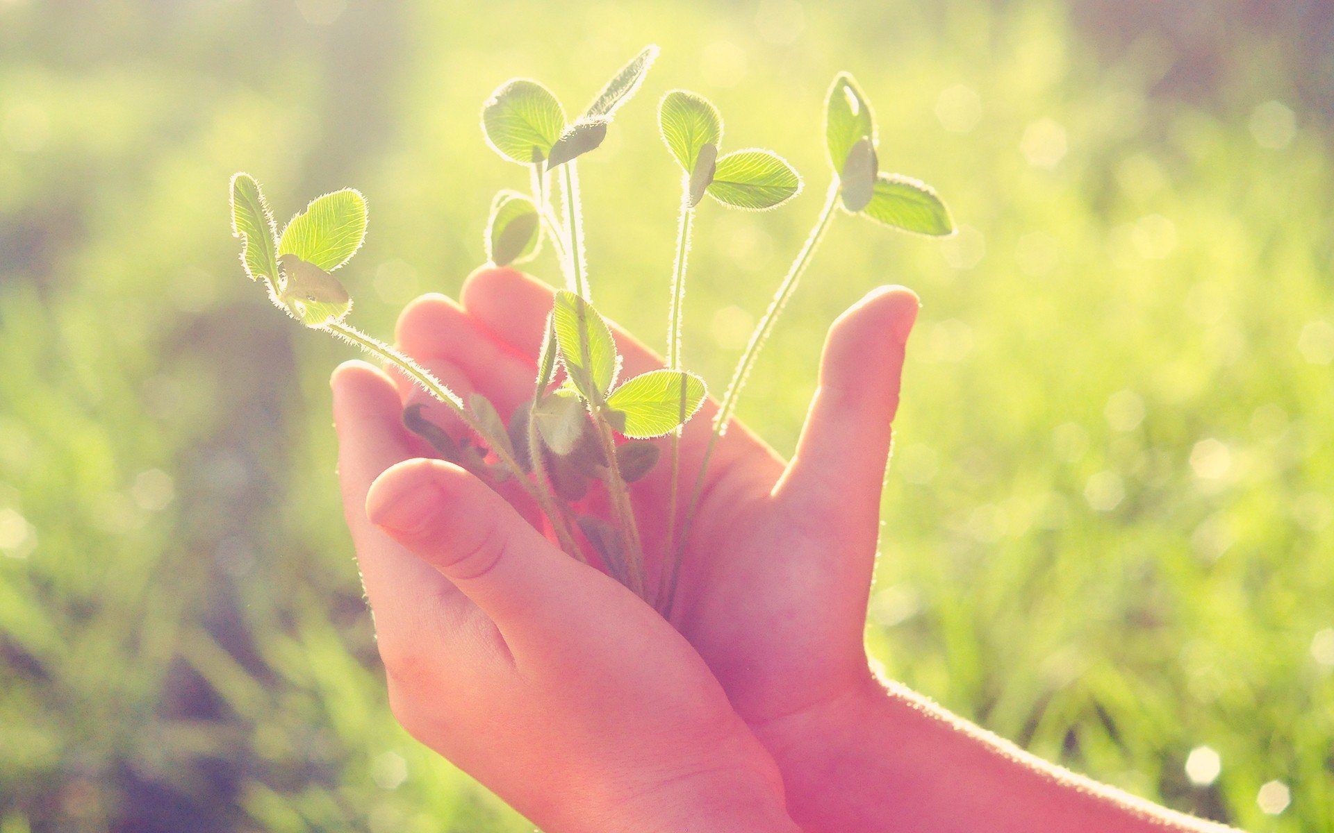 小清新,温暖,干净,安静,唯美,静物,物语,时光