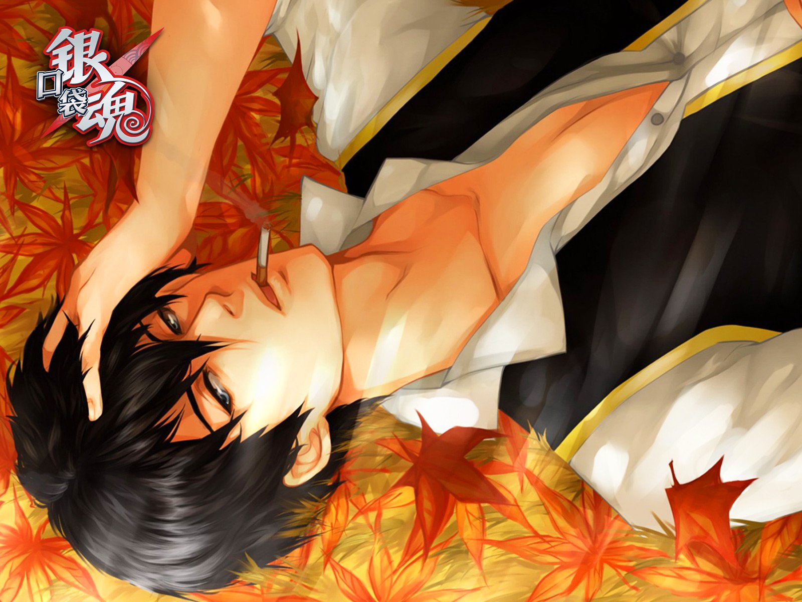 动漫,吐槽,银魂,日本,二次元,日漫,小清新,Q,坂田,坂田银时,银桑,万事屋,口袋银魂