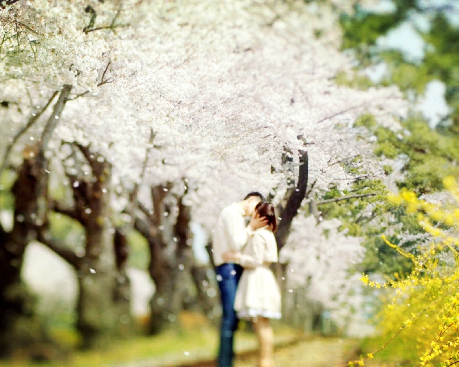 情感,爱情,浪漫,心,锁