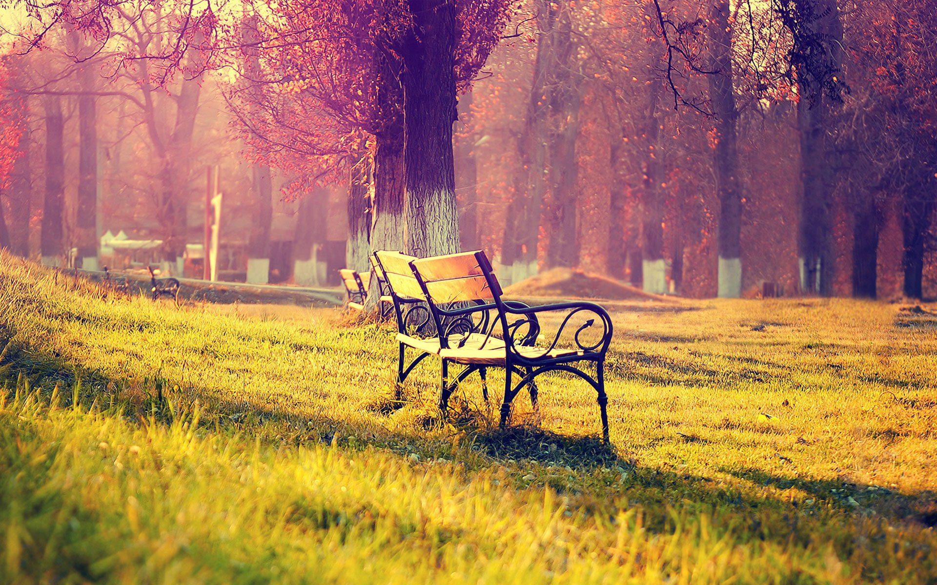 夕阳,黄昏,椅子,安静,温馨,唯美,风景