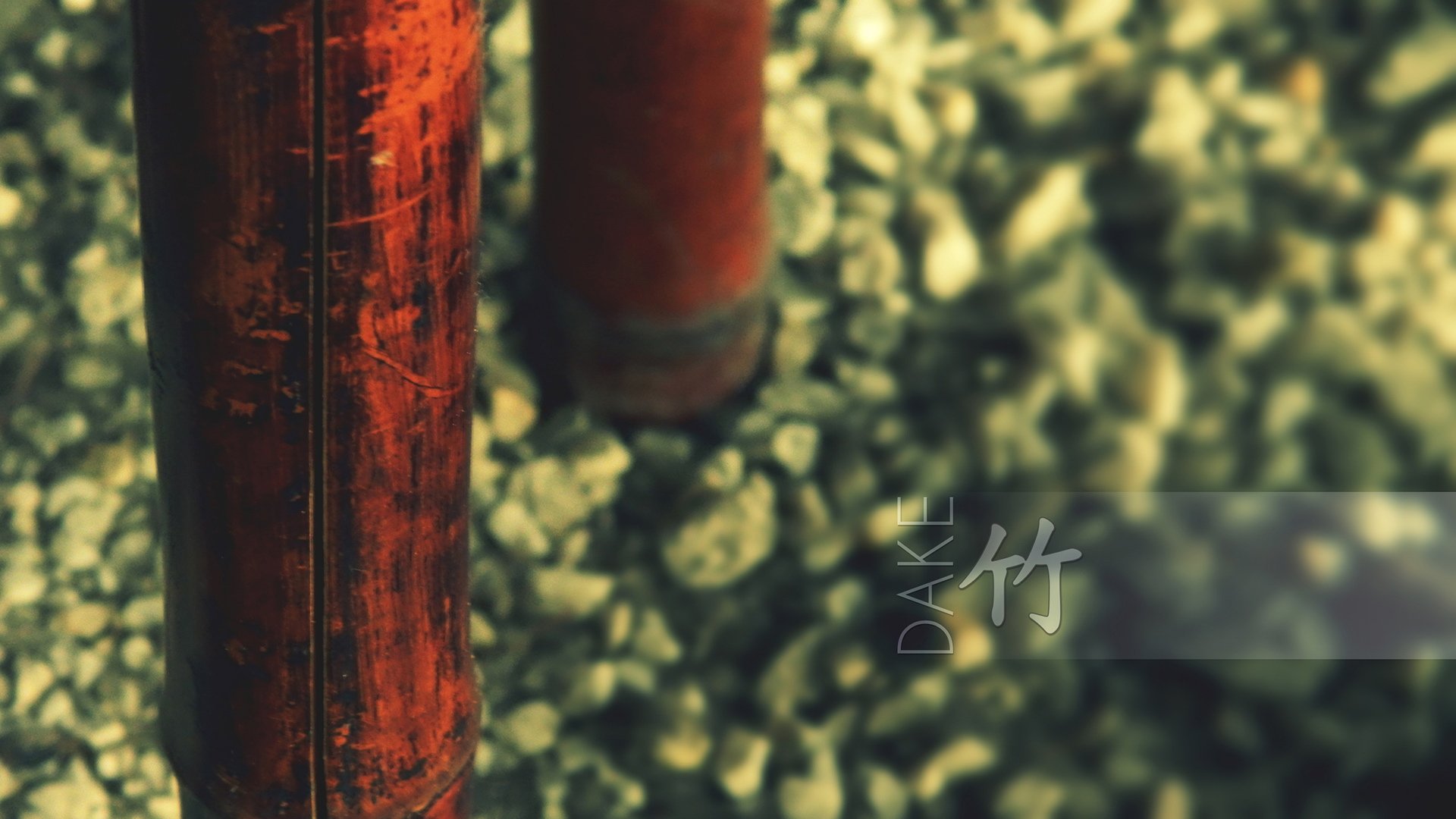 竹子,唯美,意境