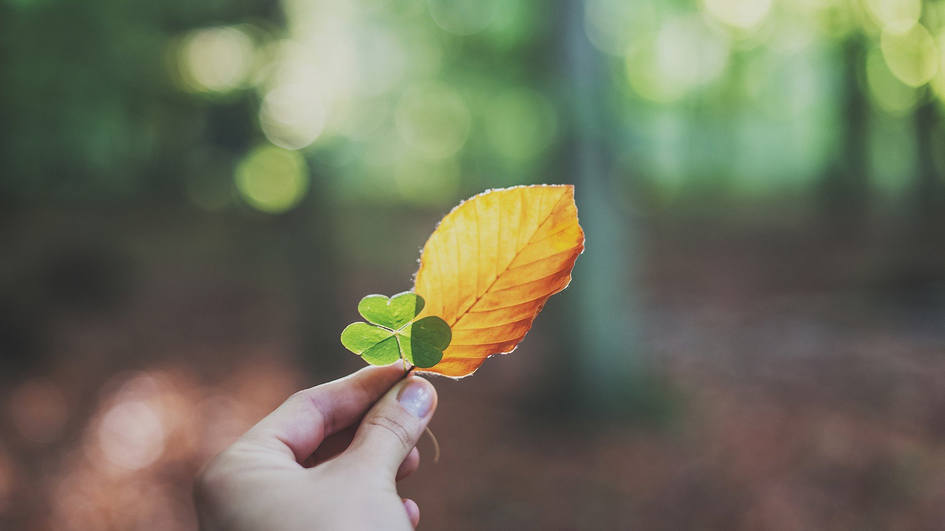 小清新,温暖,干净,安静,唯美,静物,物语,时光