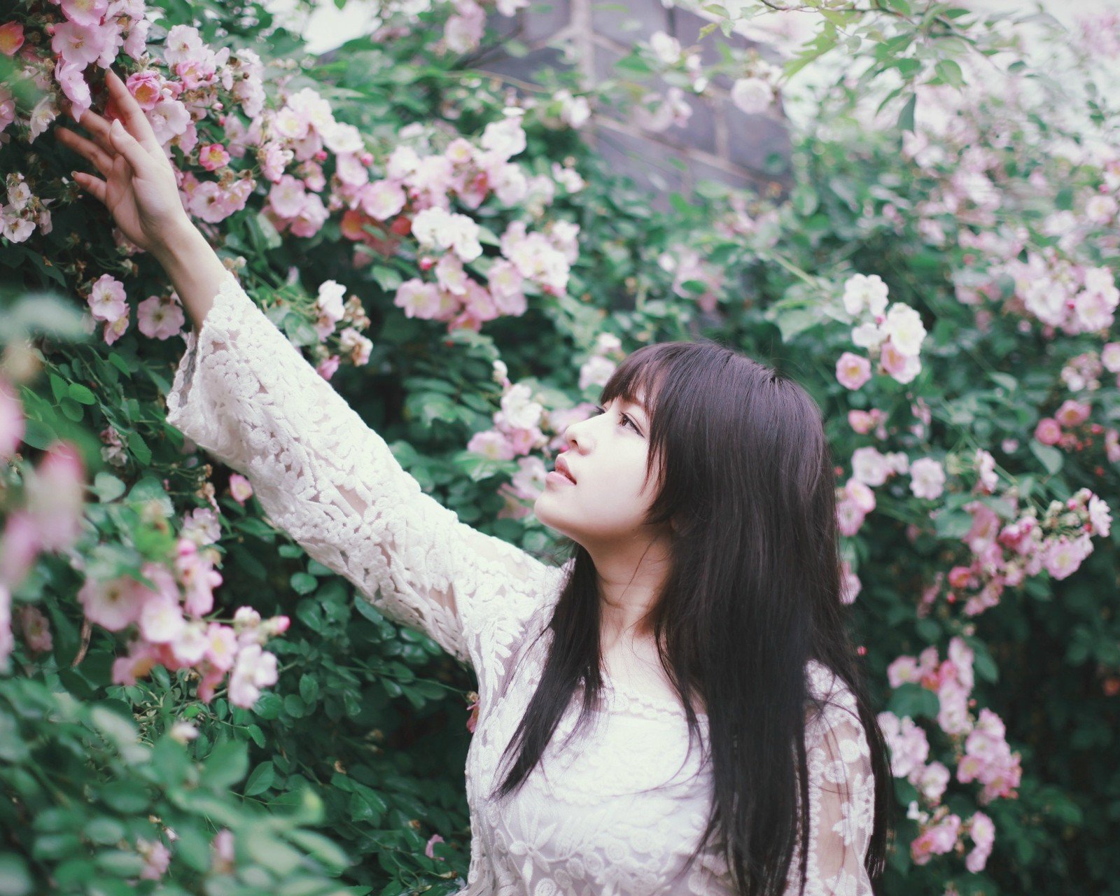 美女,妹子,清纯,可爱,青春