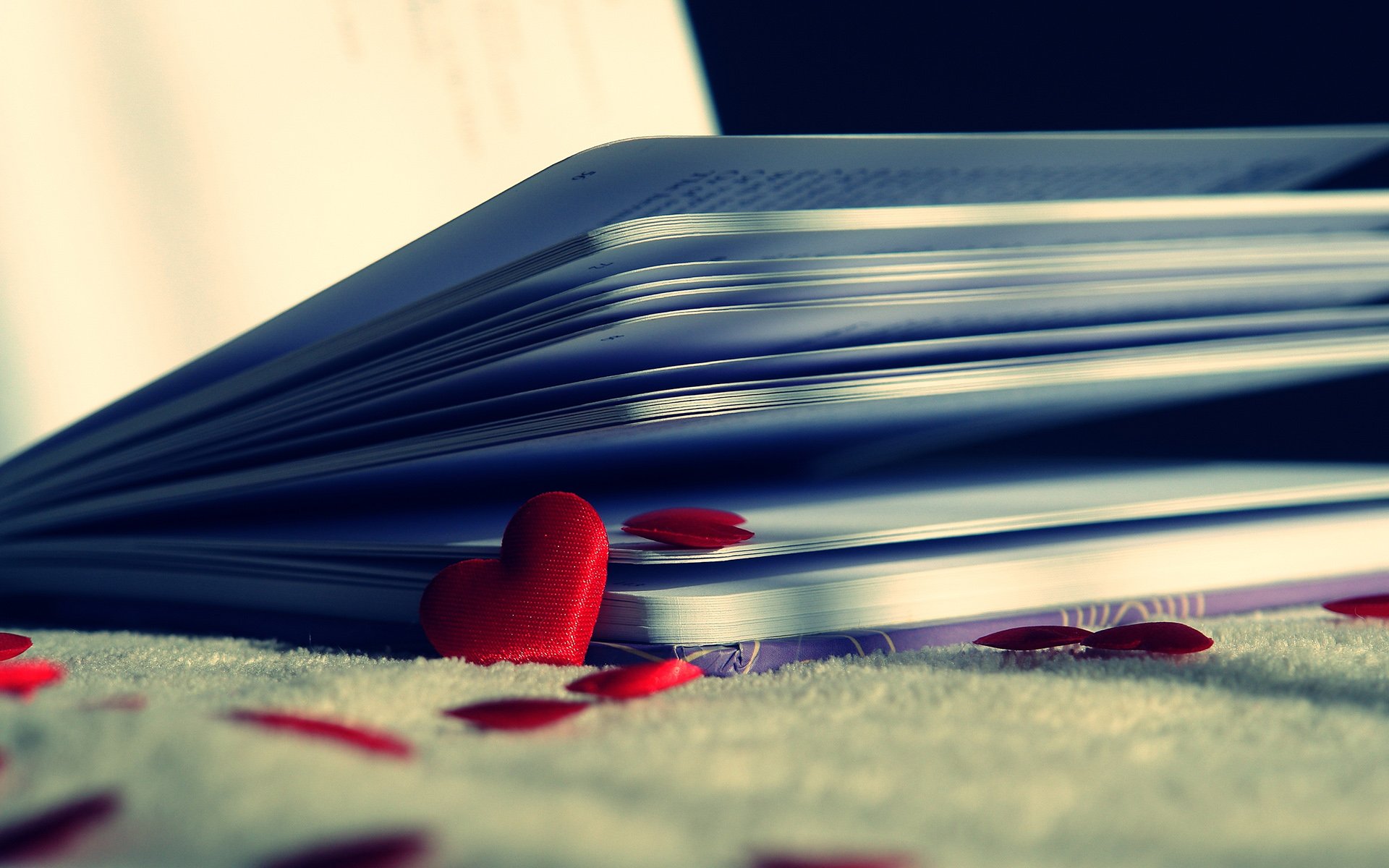 浪漫,爱情,温暖,心,唯美,温馨,love