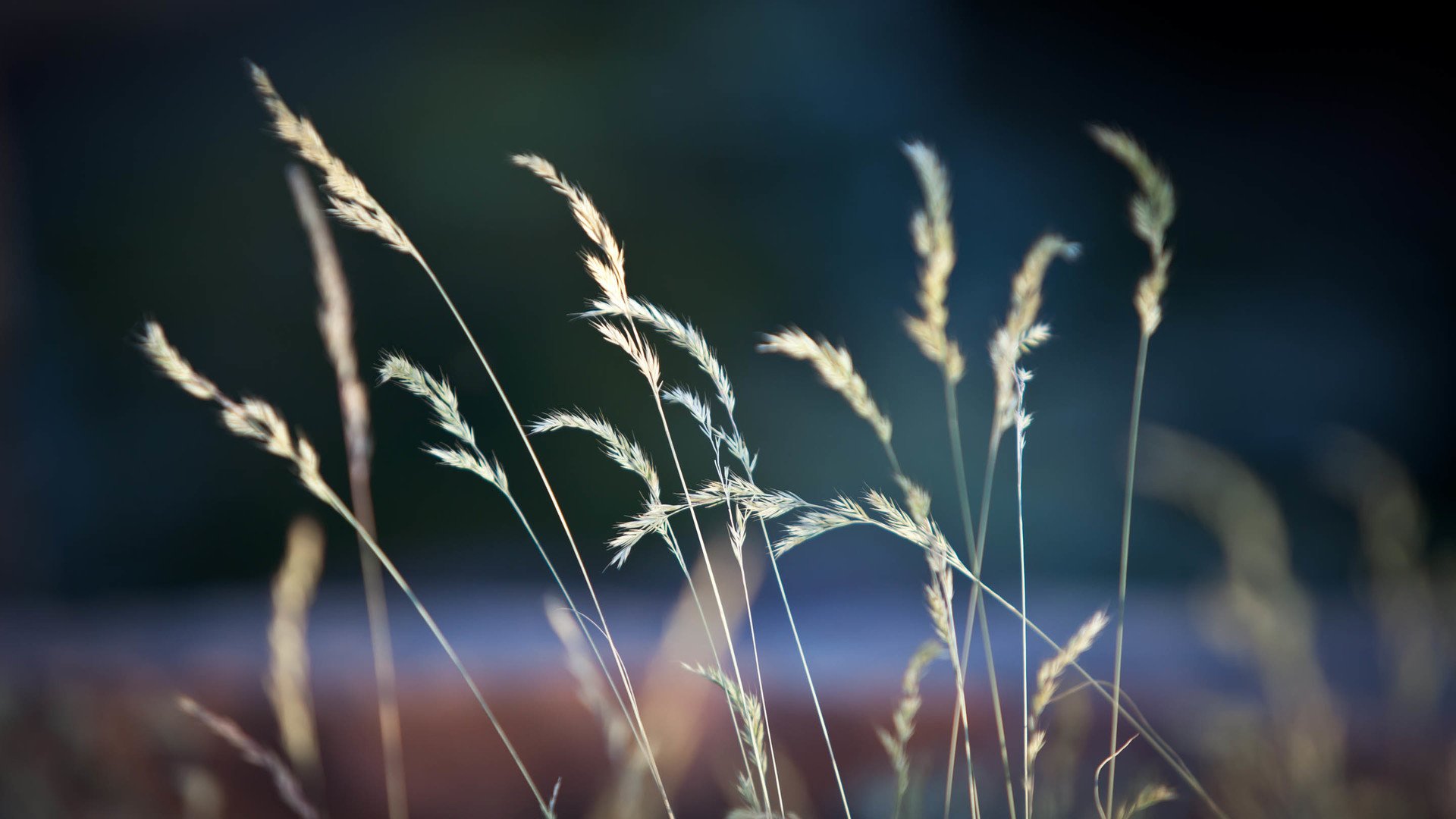 风景,自然风光,黄昏,夕阳,傍晚,落日,唯美,意境,落日余晖