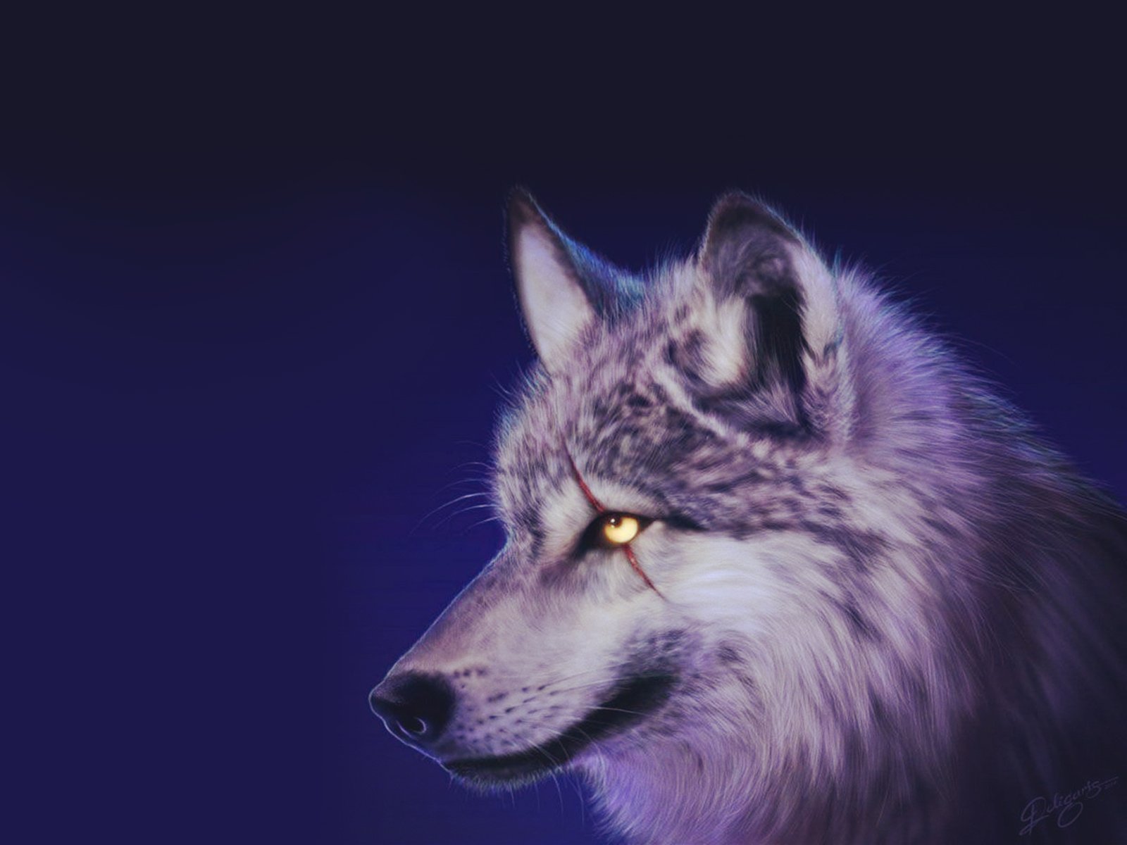 萌宠,动物,可爱,卖萌,狼,野生动物