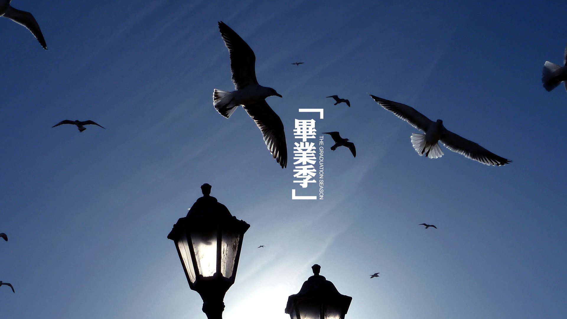 文字,文字控,语录,毕业季,风景,路灯