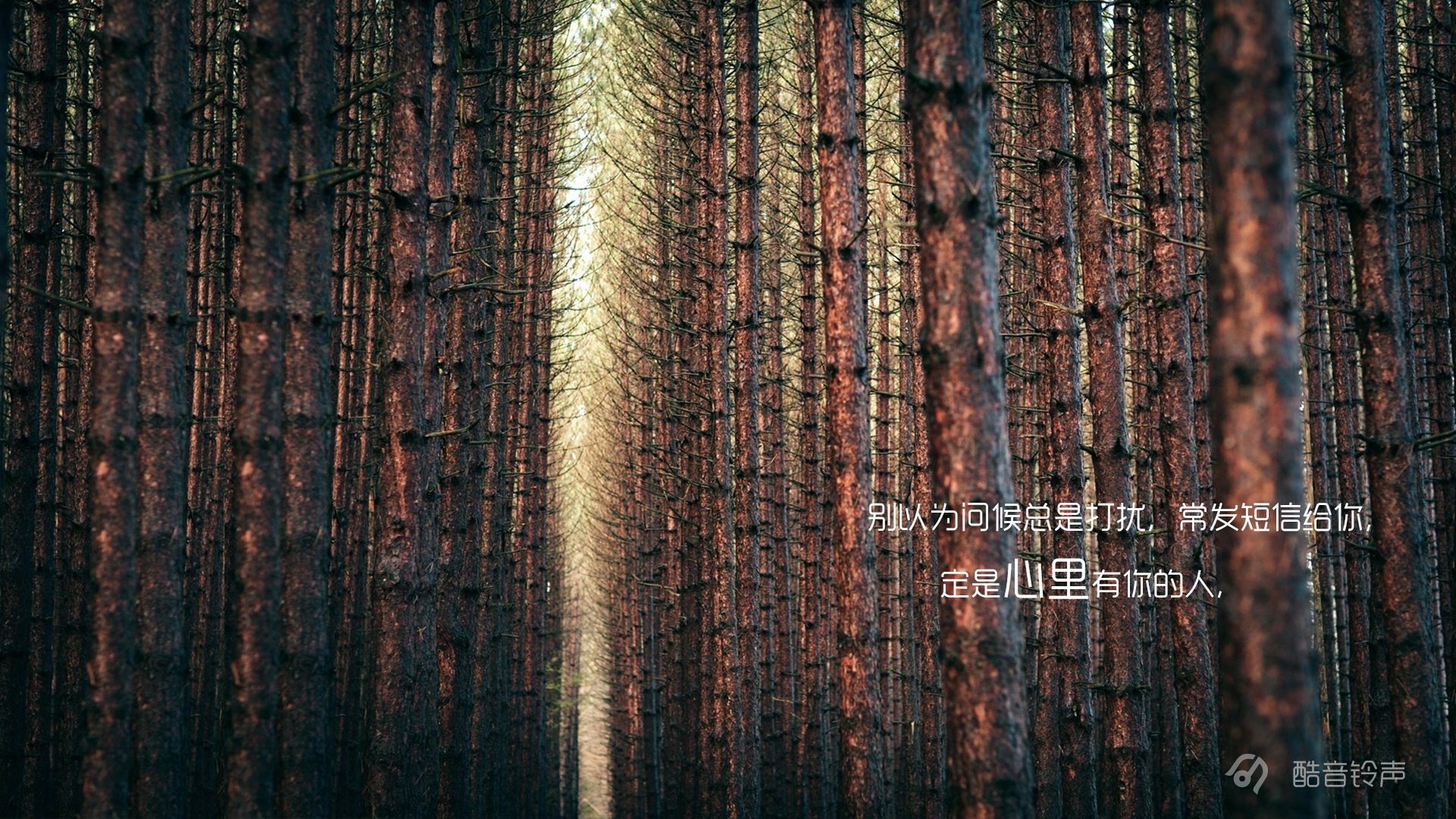 小清新,温暖,干净,安静,唯美,静物,物语,时光,恋生活,文字,@酷音铃声