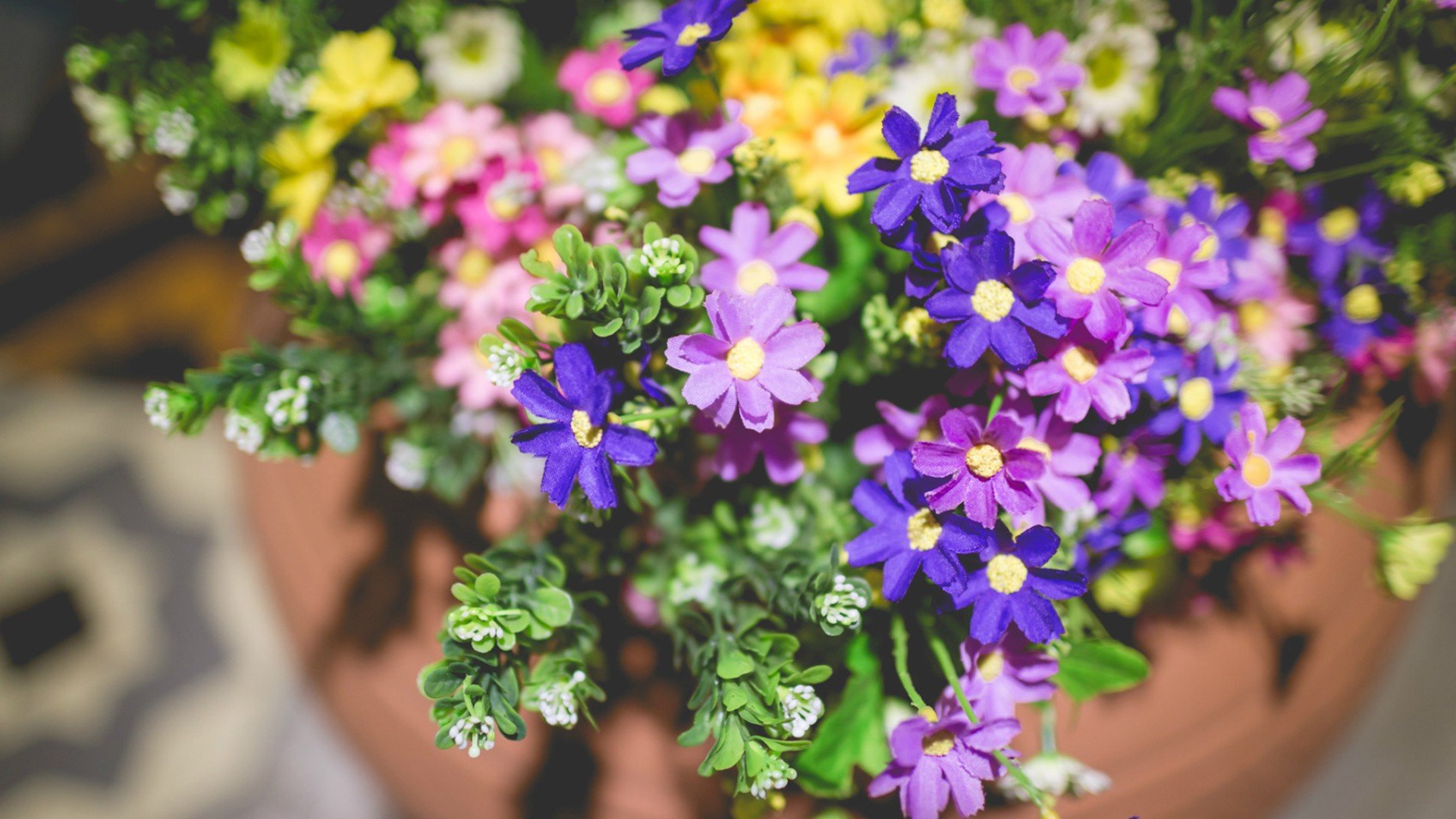 小清新,唯美,静物写真,温馨,物语,回忆,墙