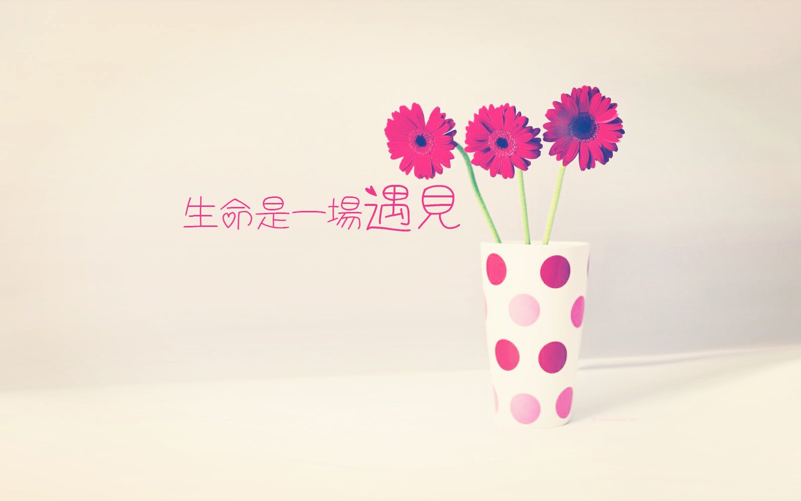 文字,文字控,语录