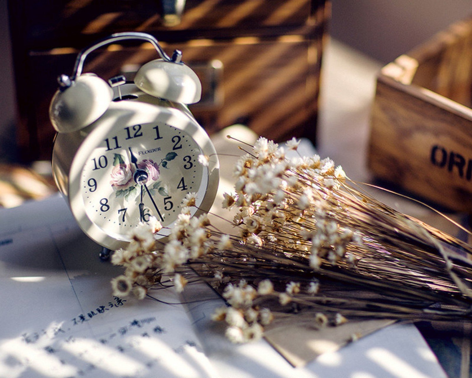 小清新,唯美,静物写真,温馨,物语,回忆,花