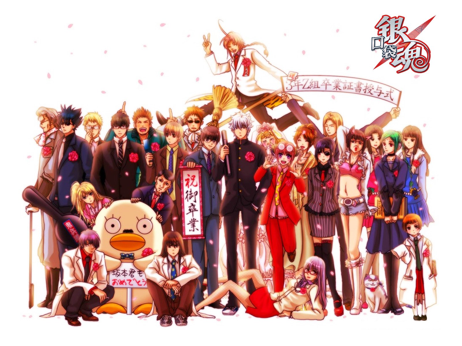 动漫,吐槽,银魂,日本,二次元,日漫,小清新,Q,坂田,坂田银时,银桑,万事屋,口袋银魂