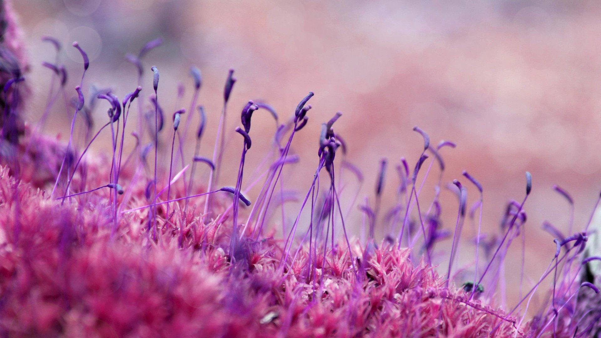 小清新,温暖,干净,安静,唯美,静物,物语,时光