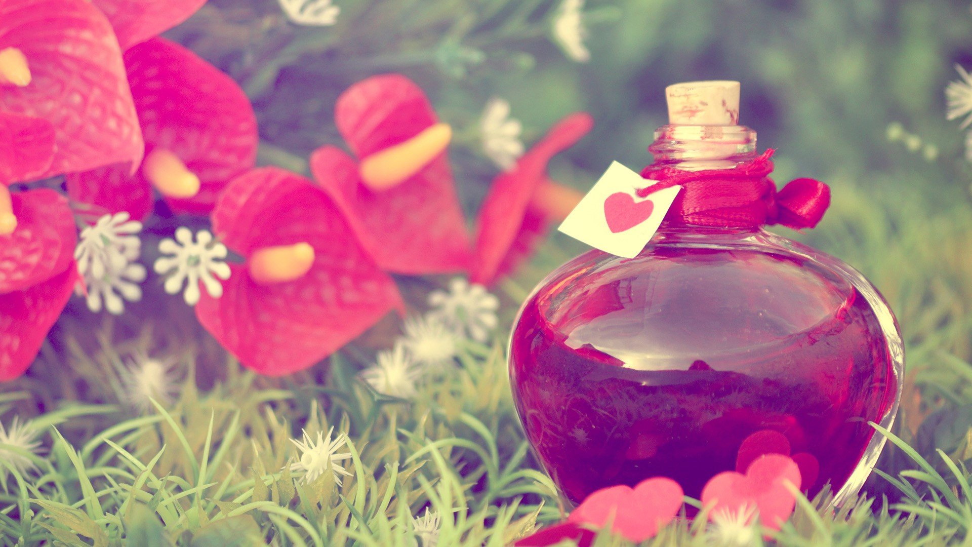 浪漫,爱情,温暖,心,唯美,温馨,love