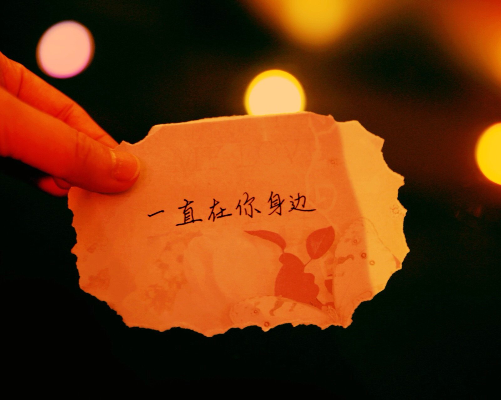 文字,文字控,语录,手写