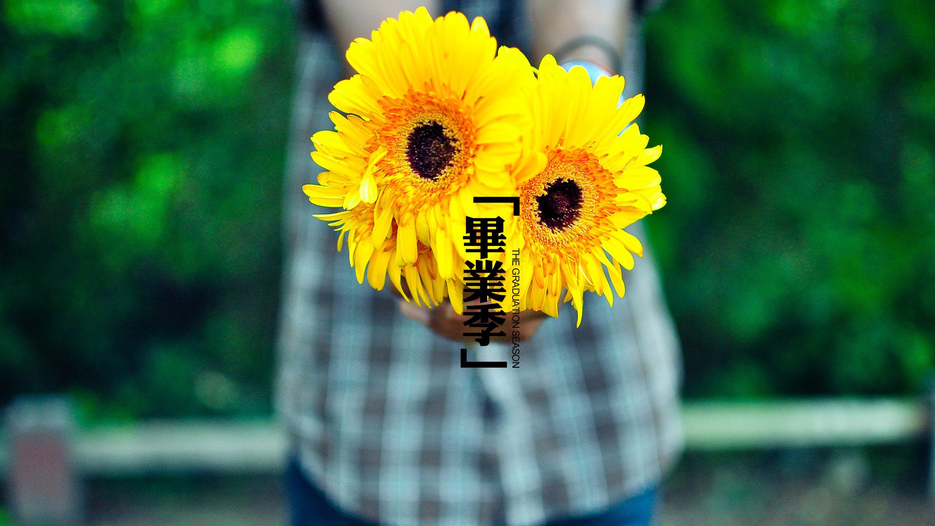 文字,文字控,语录,毕业季,花,女孩,唯美,小清新